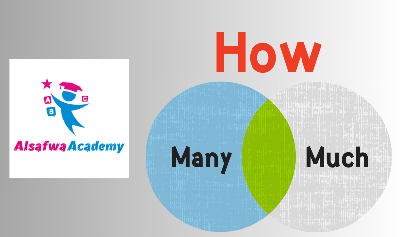 فهم الفرق بين 'How Many' و 'How Much' في اللغة الإنجليزية